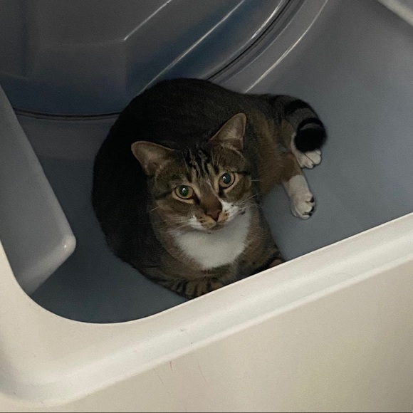 Meet your Posher, Seonead - Picture 1 of 1